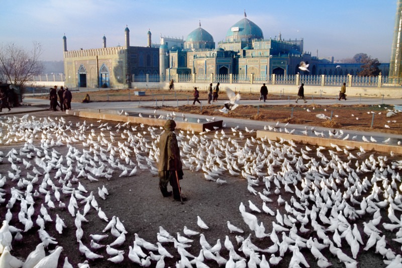 McCurry_Steve_AFGHN-13987-800x534.jpg