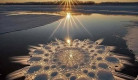 unusual-beautiful-things-02.jpg